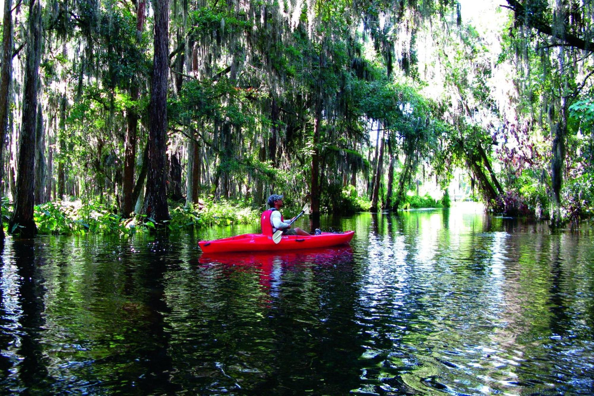 Jw Marriott Orlando Grande Lakes Williamsburg Ngoại thất bức ảnh